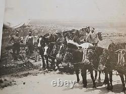 1800's Cabinet Card Photo 8x10 Teams Of Horses Plowing Agriculture Americana