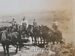 1800's Cabinet Card Photo 8x10 Teams Of Horses Plowing Agriculture Americana
