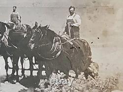 1800's Cabinet Card Photo 8x10 Teams Of Horses Plowing Agriculture Americana