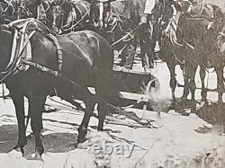 1800's Cabinet Card Photo 8x10 Teams Of Horses Plowing Agriculture Americana