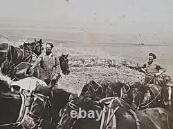 1800's Cabinet Card Photo 8x10 Teams Of Horses Plowing Agriculture Americana