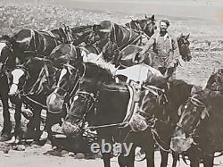 1800's Cabinet Card Photo 8x10 Teams Of Horses Plowing Agriculture Americana