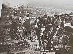 1800's Cabinet Card Photo 8x10 Teams Of Horses Plowing Agriculture Americana