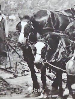 1800's Cabinet Card Photo 8x10 Teams Of Horses Plowing Agriculture Americana