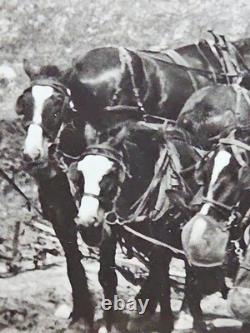 1800's Cabinet Card Photo 8x10 Teams Of Horses Plowing Agriculture Americana