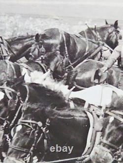 1800's Cabinet Card Photo 8x10 Teams Of Horses Plowing Agriculture Americana