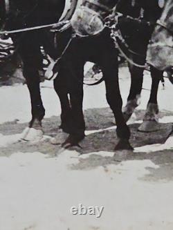 1800's Cabinet Card Photo 8x10 Teams Of Horses Plowing Agriculture Americana