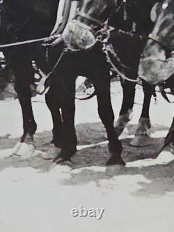 1800's Cabinet Card Photo 8x10 Teams Of Horses Plowing Agriculture Americana