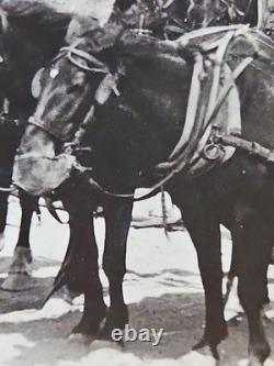 1800's Cabinet Card Photo 8x10 Teams Of Horses Plowing Agriculture Americana