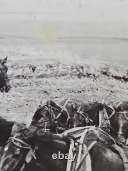 1800's Cabinet Card Photo 8x10 Teams Of Horses Plowing Agriculture Americana