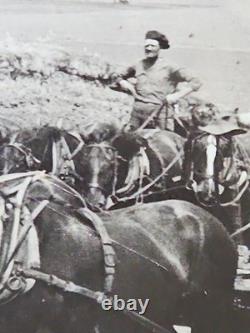 1800's Cabinet Card Photo 8x10 Teams Of Horses Plowing Agriculture Americana