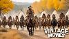 A Gunfighter Leads His Army Into A Cheyenne Camp Adventure Action Western Movie Vintage Movies