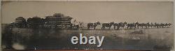 Antique American 20 Mule Team Artistic Forbes Artist Midwest Or Western Photo