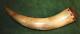 Antique Native American Plains Indian Engraved Large Powder Horn 1800s