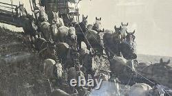 Antique Photogravure Signed Duvall Spokane WA Horse Team Photo AYP AYPE HUGE