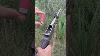 Antique Shotgun 18th Century British Masterpiece 18th Century British Shotgun A Legendary Firearm