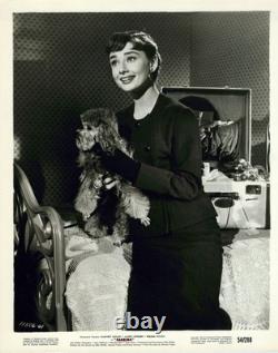 Audrey Hepburn in Sabrina (1954)? Vintage Stunning Portrait Iconic Photo 1065K