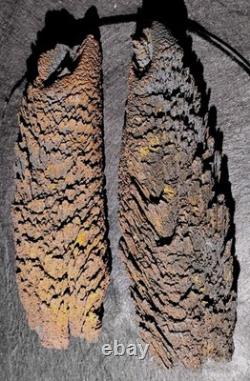 Beautiful Large Rare Antique Train Rail Grindings Concretion Display/Art