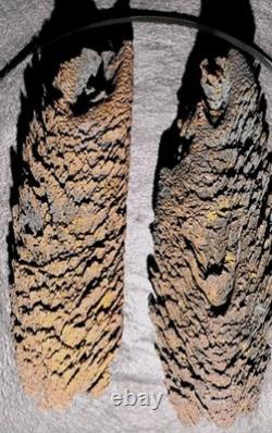 Beautiful Large Rare Antique Train Rail Grindings Concretion Display/Art