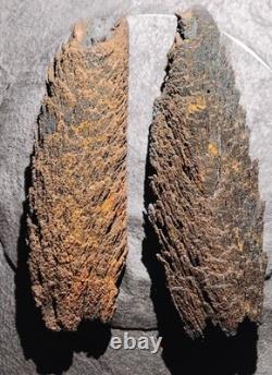 Beautiful Large Rare Antique Train Rail Grindings Concretion Display/Art