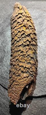 Beautiful Large Rare Antique Train Rail Grindings Concretion Display/Art