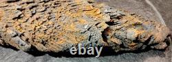 Beautiful Large Rare Antique Train Rail Grindings Concretion Display/Art