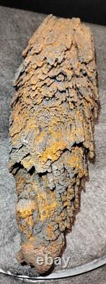 Beautiful Large Rare Antique Train Rail Grindings Concretion Display/Art