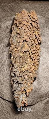 Beautiful Large Rare Antique Train Rail Grindings Concretion Display/Art