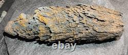 Beautiful Large Rare Antique Train Rail Grindings Concretion Display/Art