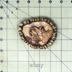 Cowboys Antler Burr Belt Buckle Bighorn Ram Signed Vtg 1985 Glenn L Smith. GMP179