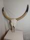 Extra Large Longhorn Cow Skull Wall Hanging Sculpture Bull Horns, Western