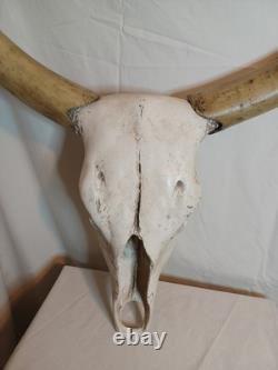 Extra Large Longhorn Cow Skull Wall Hanging Sculpture Bull Horns, Western