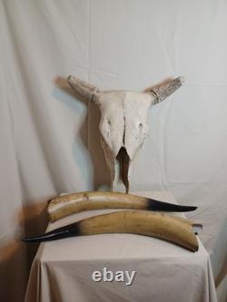 Extra Large Longhorn Cow Skull Wall Hanging Sculpture Bull Horns, Western