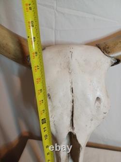 Extra Large Longhorn Cow Skull Wall Hanging Sculpture Bull Horns, Western