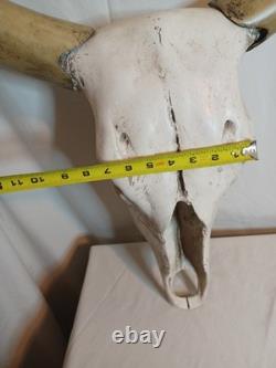 Extra Large Longhorn Cow Skull Wall Hanging Sculpture Bull Horns, Western