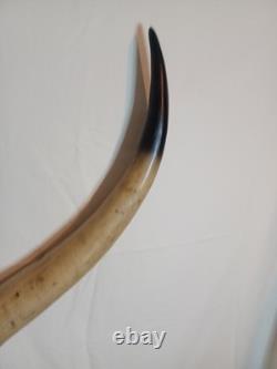 Extra Large Longhorn Cow Skull Wall Hanging Sculpture Bull Horns, Western