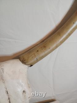 Extra Large Longhorn Cow Skull Wall Hanging Sculpture Bull Horns, Western