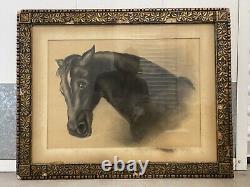 Fine Antique Old West 19th c. American Folk Art Black HORSE Portrait Painting