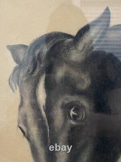 Fine Antique Old West 19th c. American Folk Art Black HORSE Portrait Painting