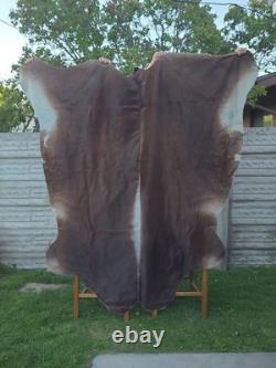 Genuine Leather Cow Hide Rug Extra Large Antique Yellowsrone Veterinary Owned