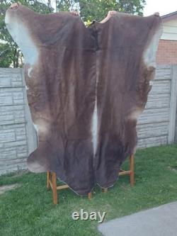 Genuine Leather Cow Hide Rug Extra Large Antique Yellowsrone Veterinary Owned