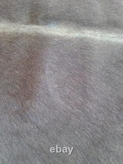 Genuine Leather Cow Hide Rug Extra Large Antique Yellowsrone Veterinary Owned