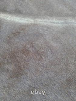Genuine Leather Cow Hide Rug Extra Large Antique Yellowsrone Veterinary Owned