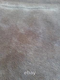 Genuine Leather Cow Hide Rug Extra Large Antique Yellowsrone Veterinary Owned