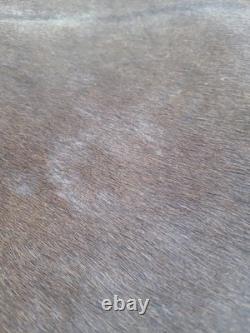 Genuine Leather Cow Hide Rug Extra Large Antique Yellowsrone Veterinary Owned