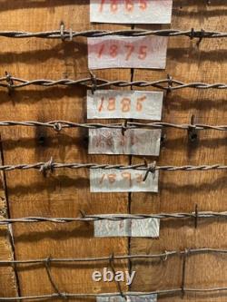 Large 34 Antique Barbed Wire Rustic Wood Display Labeled Cuts of Barbwire