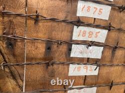 Large 34 Antique Barbed Wire Rustic Wood Display Labeled Cuts of Barbwire