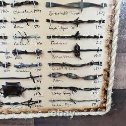 Large Antique Barbed Wire Display 50 cut's Authentic Barbwire Collection