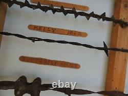 Large Antique Barbed Wire Display cut's of Authetic some 1800's Barbwire