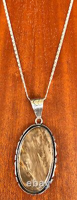 Large James Shay Navajo Sterling Silver Overlay Fossilized Wood Pendant & Chain